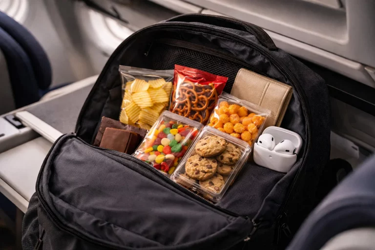 Можно ли провезти еду в самолете в ручной клади и в багаже